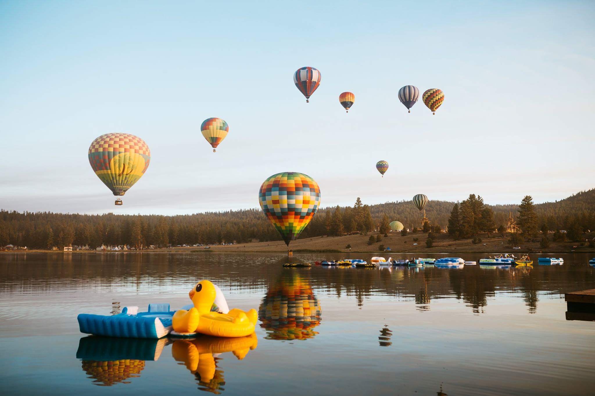 A Ducky's Dream of Flight pc: SageTee Photography