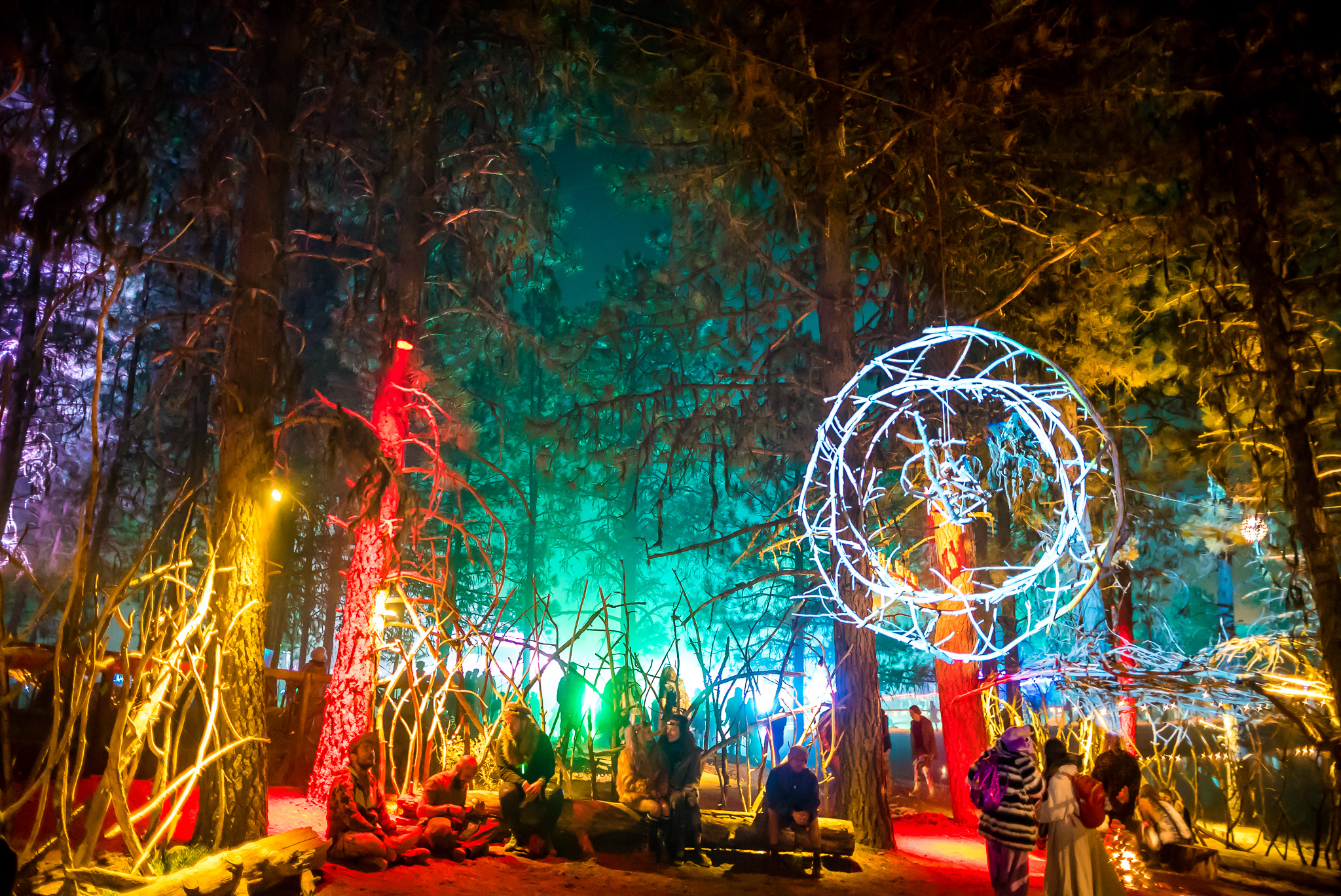 Forested Nights pc: Jacob Avanzato